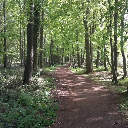 Wald Nr 1 By Interhome