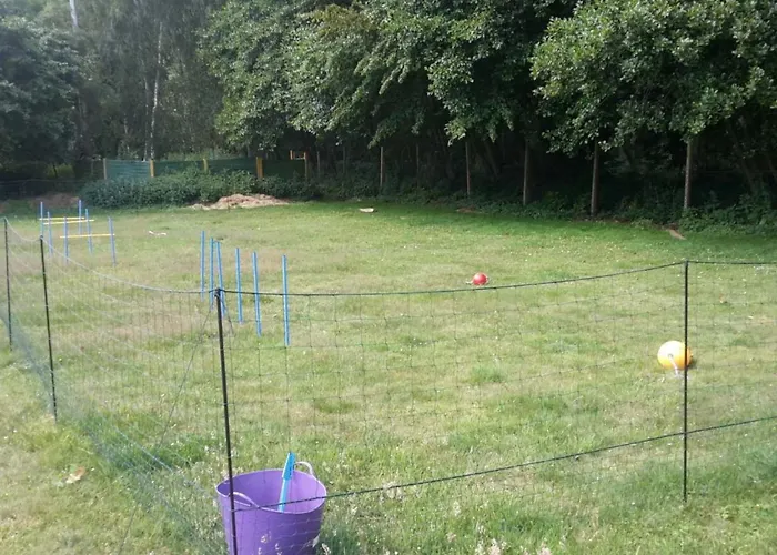 Wald Nr 1 By Interhome *